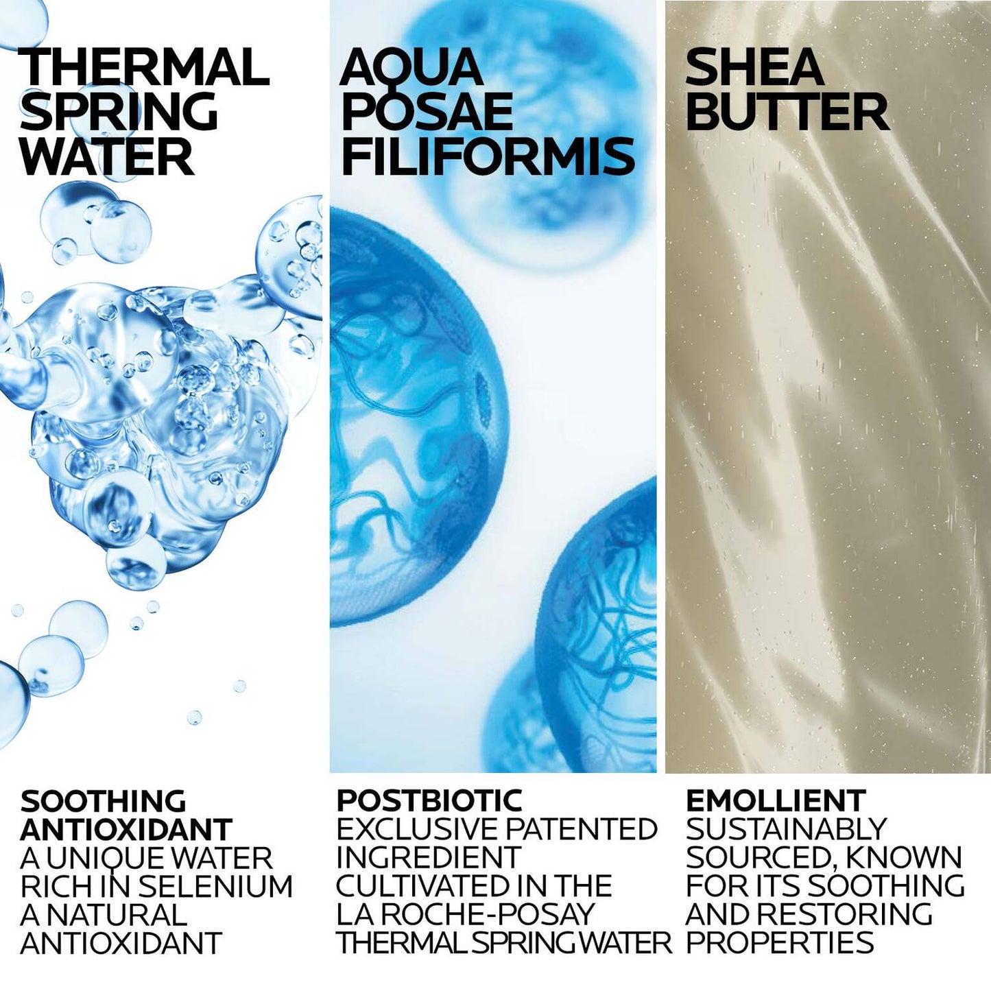 lipikar-wash-ap-moisturizing-body-and-face-wash-l0 Lipikar-Wash-ingredients_1500x1500-REV.jpg